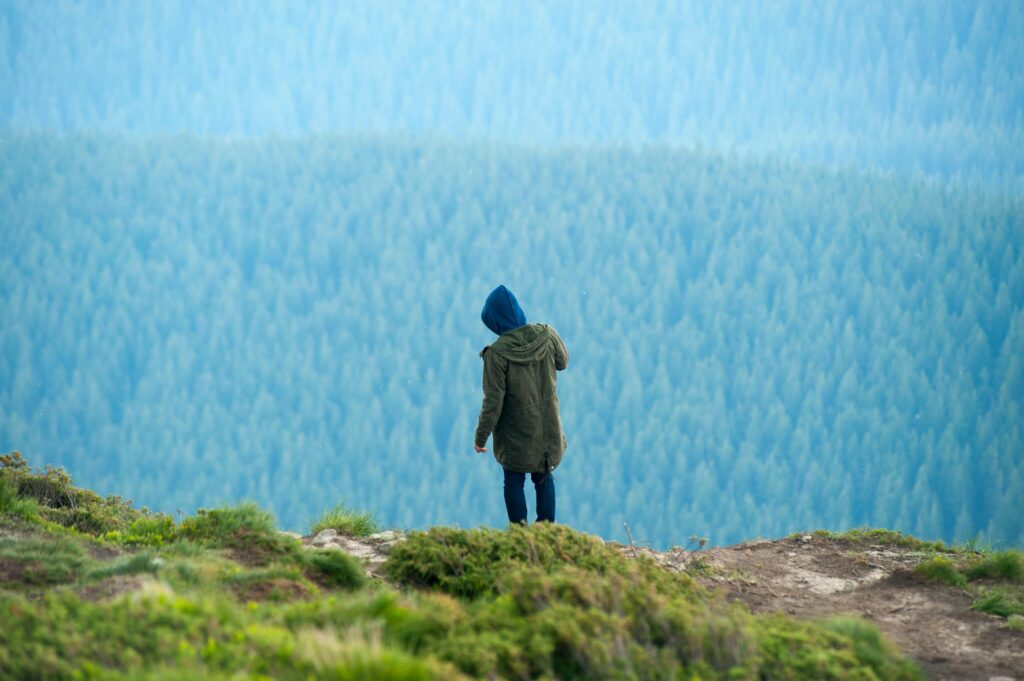 A lone hiker in warm clothing stands on a hill with a panoramic view of a forested valley.